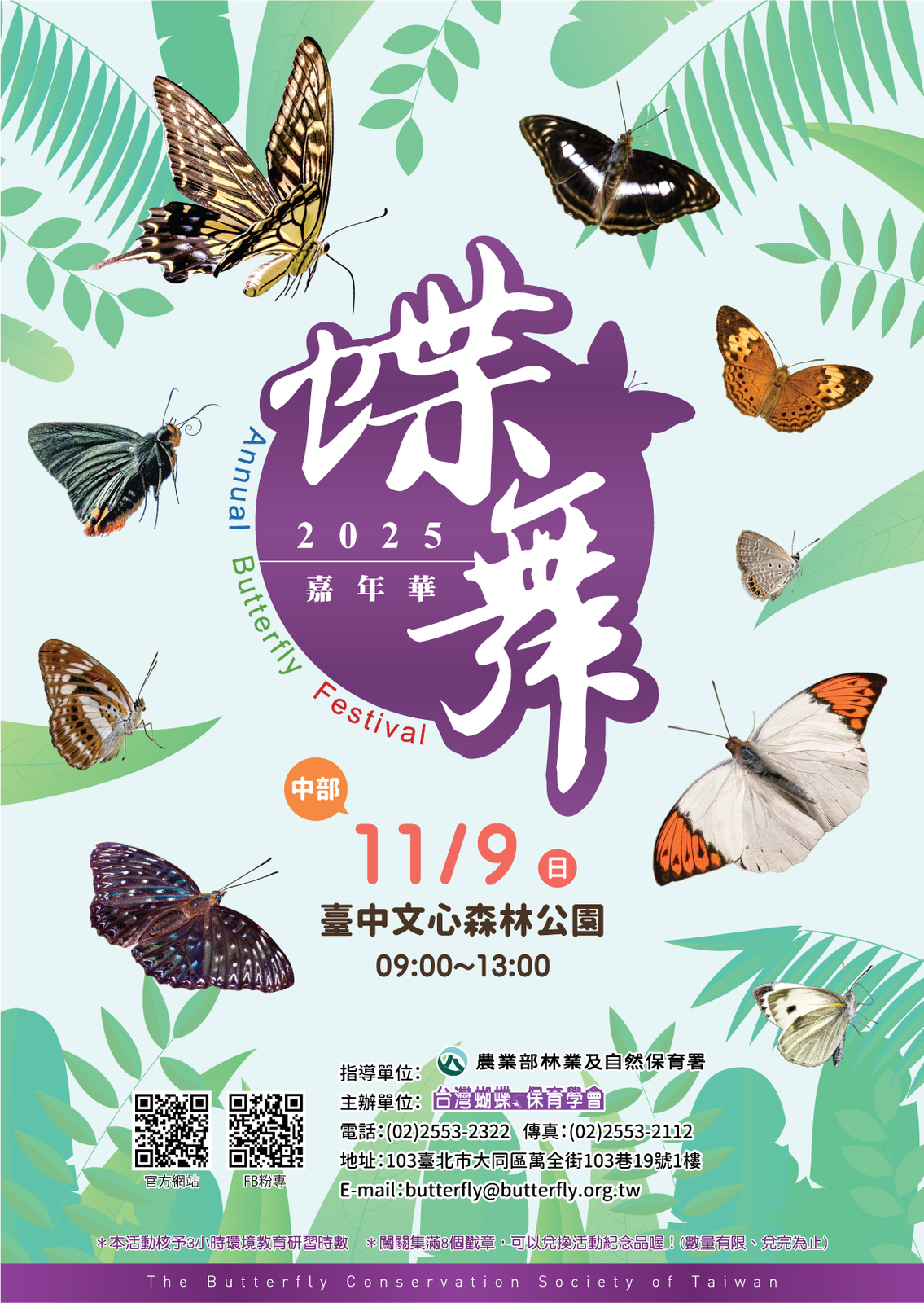 蝶舞嘉年華圖片