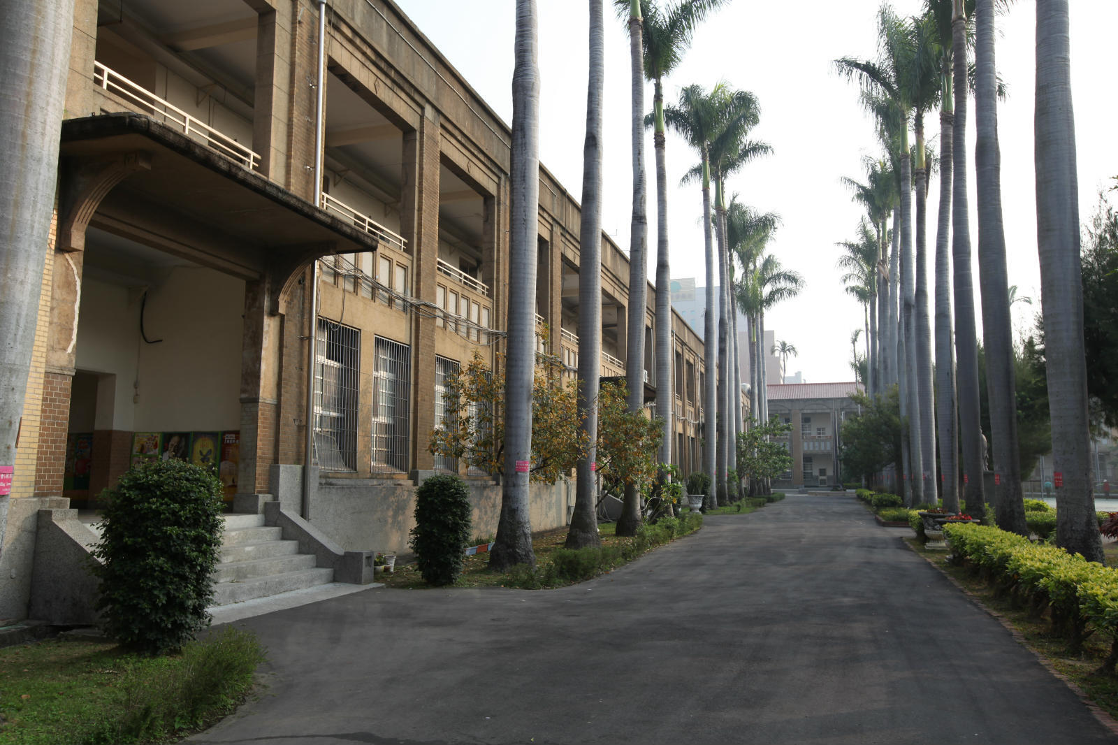 古蹟大樓椰林大道圖片